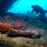 The archaeological underwater excavations in Bodrum, which also include a 1400-year-old Byzantine shipwreck, have been documented