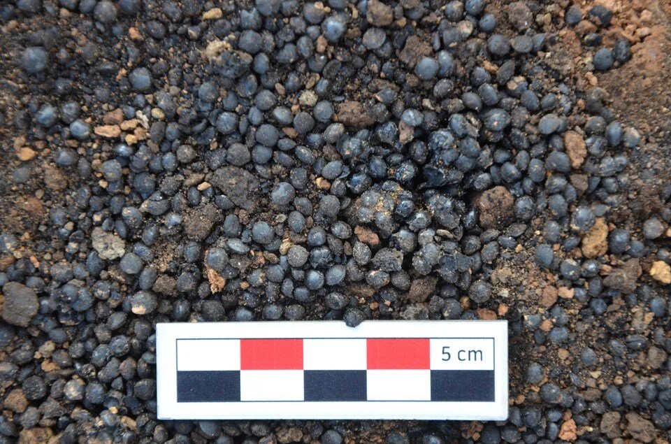 Archaeologists discovered 5,000-year-old opium poppy and chickpeas at the thermal power plant site