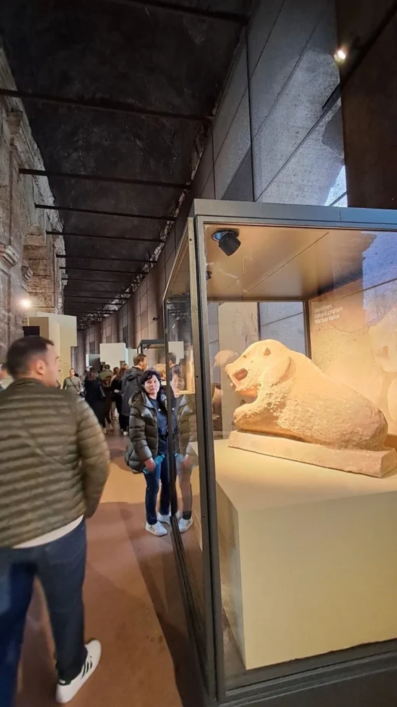 Göbekli Tepe Exhibition Reaches 5 Million Visitors at the Colosseum, Heart of Rome