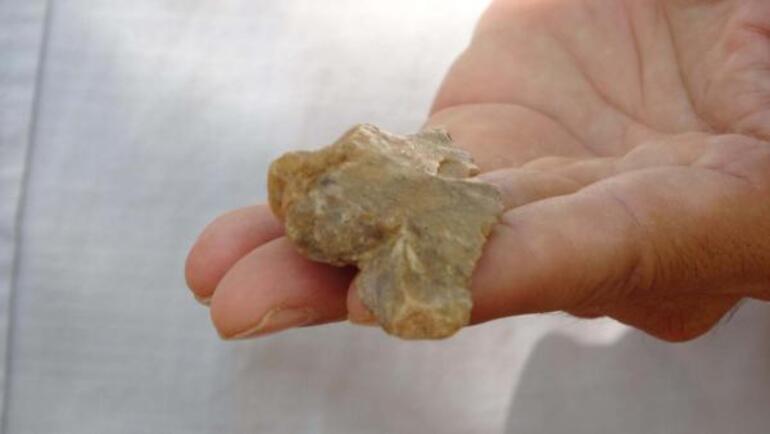 Stem tool tips from the Middle Paleolithic period in İnkaya Cave