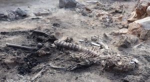Archaeologists discovered brain and skin remnants belonging to two individuals who couldn't escape their collapsed homes 3,700 years ago