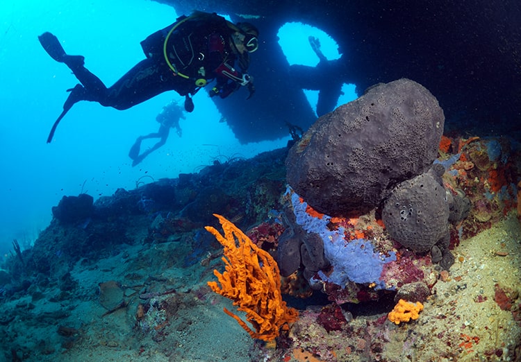 The archaeological underwater excavations in Bodrum, which also include a 1400-year-old Byzantine shipwreck, have been documented