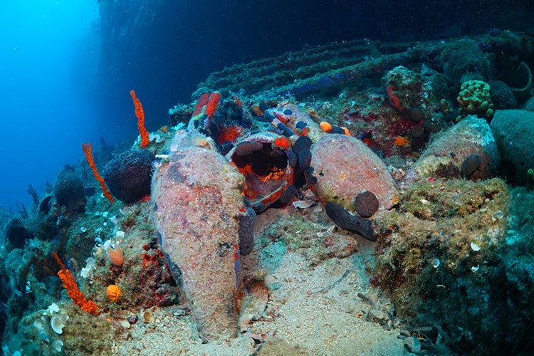 The archaeological underwater excavations in Bodrum, which also include a 1400-year-old Byzantine shipwreck, have been documented