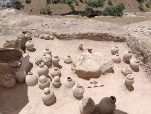 Museum officials discovered a 3000-year-old necropolis by chance