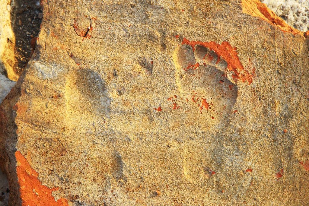 1900-year-old children's footprints were found in Stratonikeia, the City of Gladiators