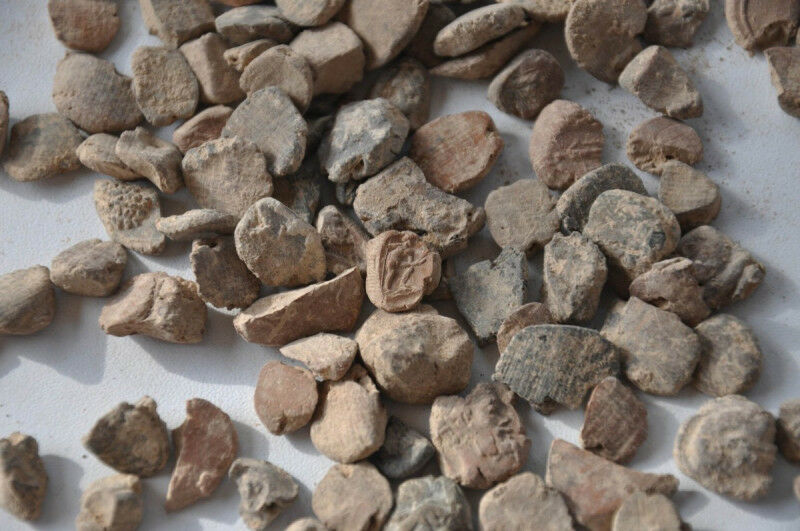 Seal impressions from the Doliche archive. Photo: © Forschungsstelle Asia Minor
