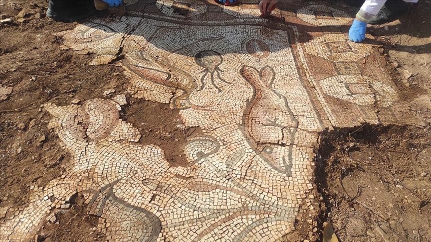The rescue excavation initiated by officials responding to the report of illegal digging uncovered Roman-era floor mosaics