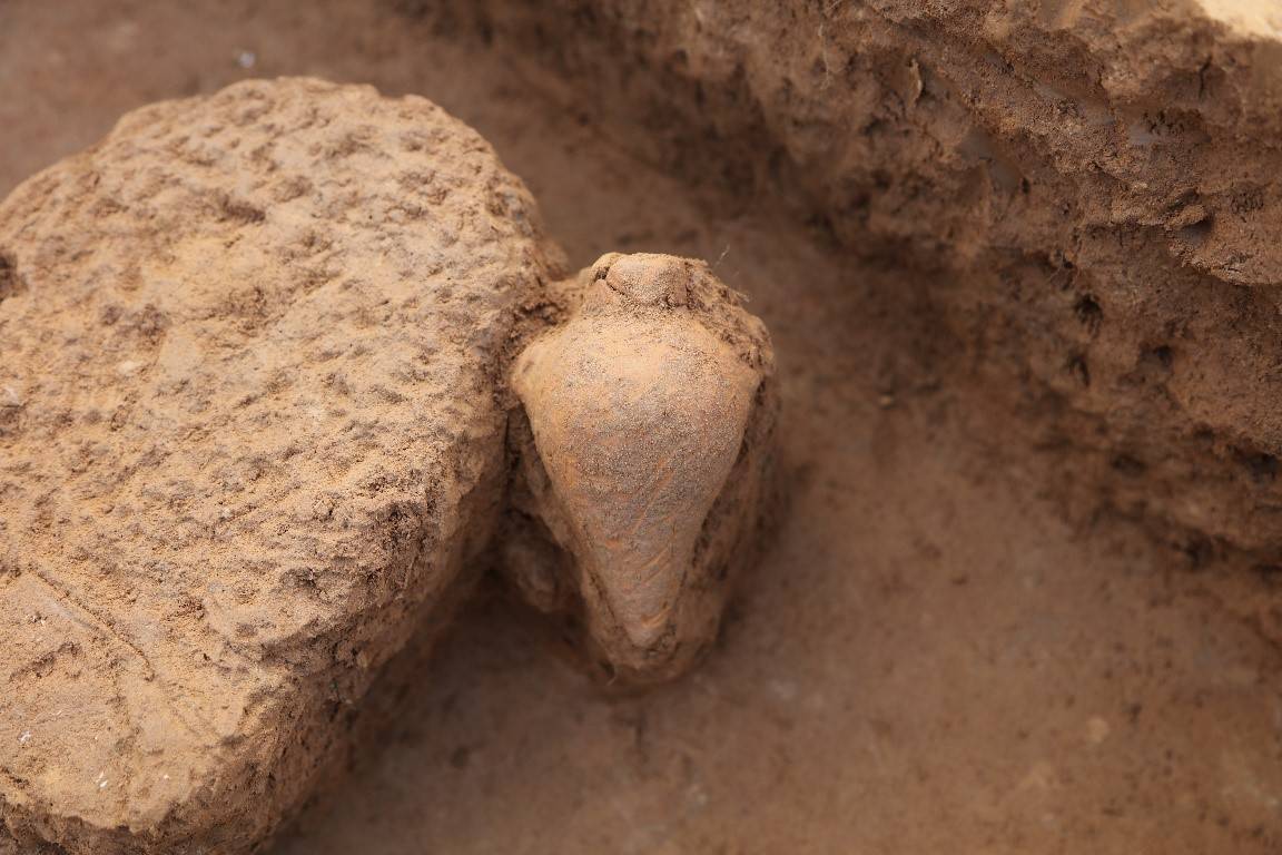 Archaeologists discover the smallest Neolithic pot of its kind in China