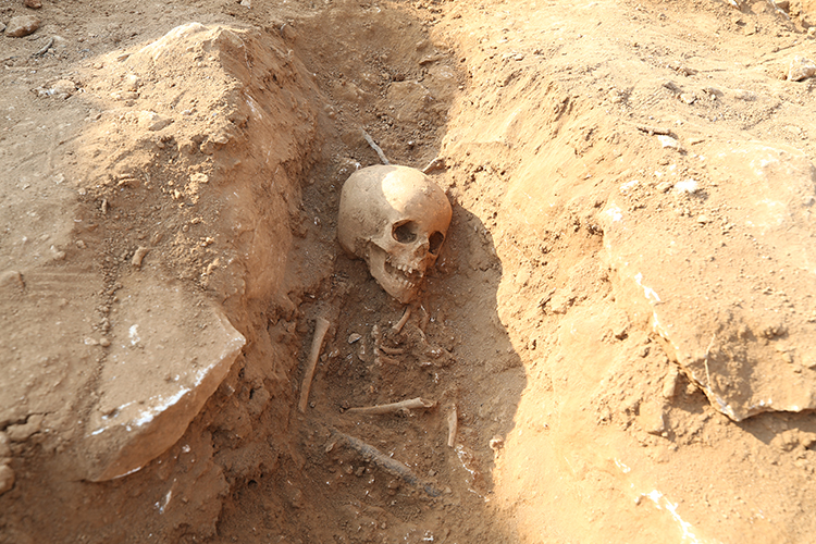 Graveyard of 54 children found in an old quarry