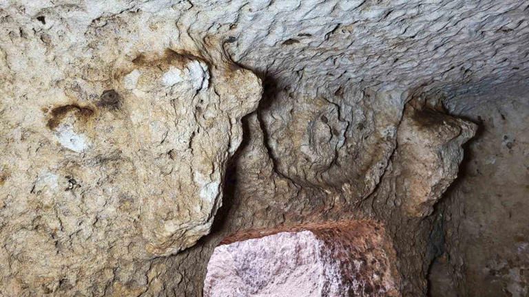 2000-year-old tomb with bull's head discovered in Tharsa Ancient City