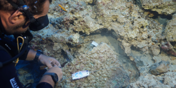 3,600-year-old bronze dagger with silver rivets found in a shipwreck in Antalya