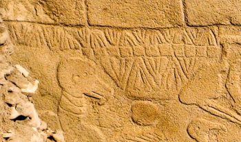 Scientists say rock carvings at Göbekli Tepe may be the world's oldest calendar