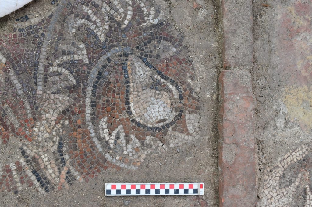 First in-situ floor mosaic unearthed in a monastery in Ordu province.