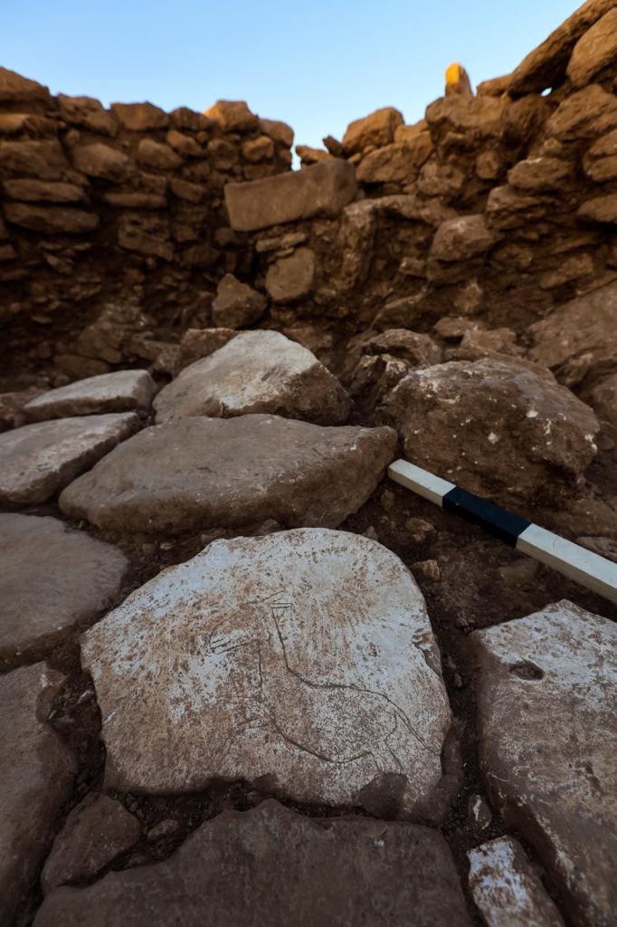 Running wild donkey figure carved into the ground stone discovered in Karahantepe