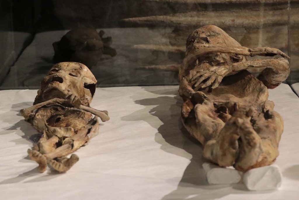 Two child mummies thought to be from the Eastern Roman period are preserved at Kayseri Museum