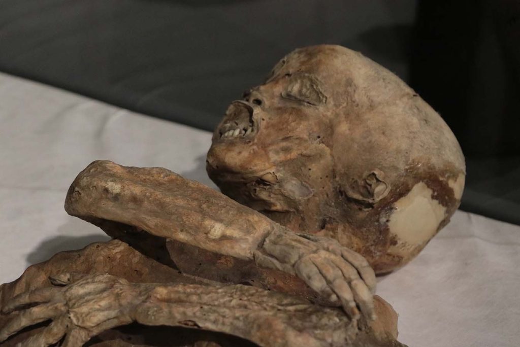 Two child mummies thought to be from the Eastern Roman period are preserved at Kayseri Museum