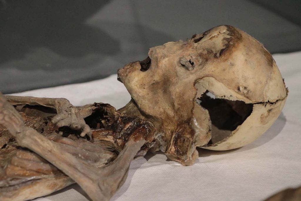 Two child mummies thought to be from the Eastern Roman period are preserved at Kayseri Museum