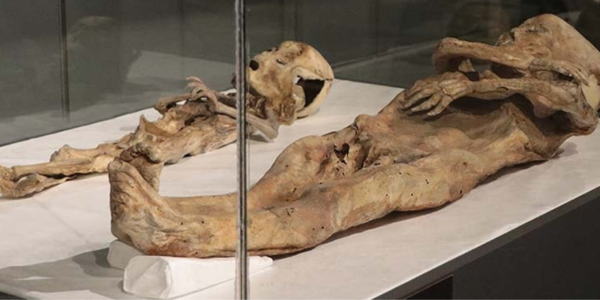 Two child mummies thought to be from the Eastern Roman period are preserved at Kayseri Museum