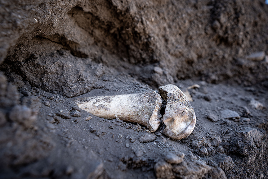 Değirmenler Höyük