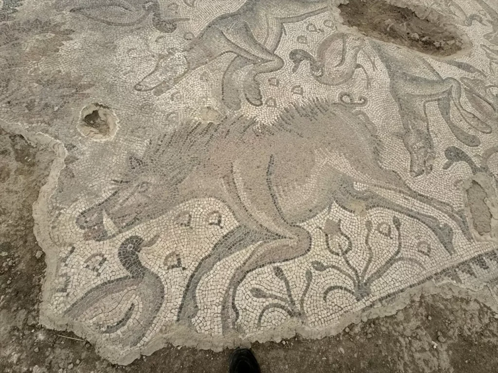 Roman mosaic_Elazığ