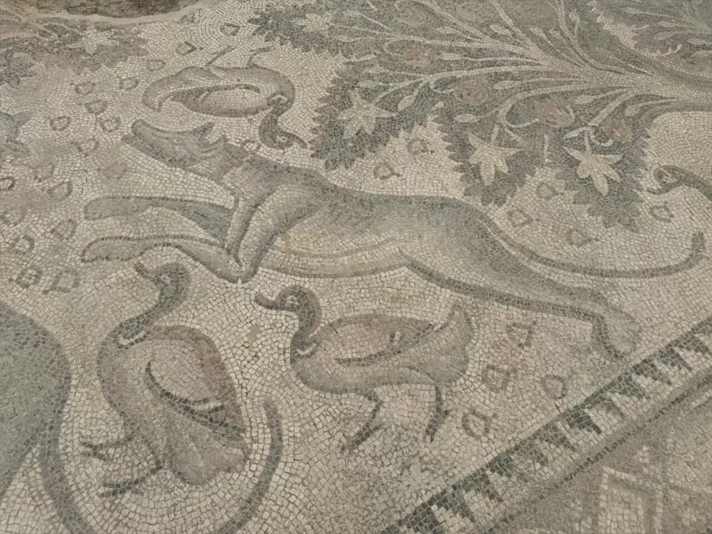 Roman mosaic_Elazığ