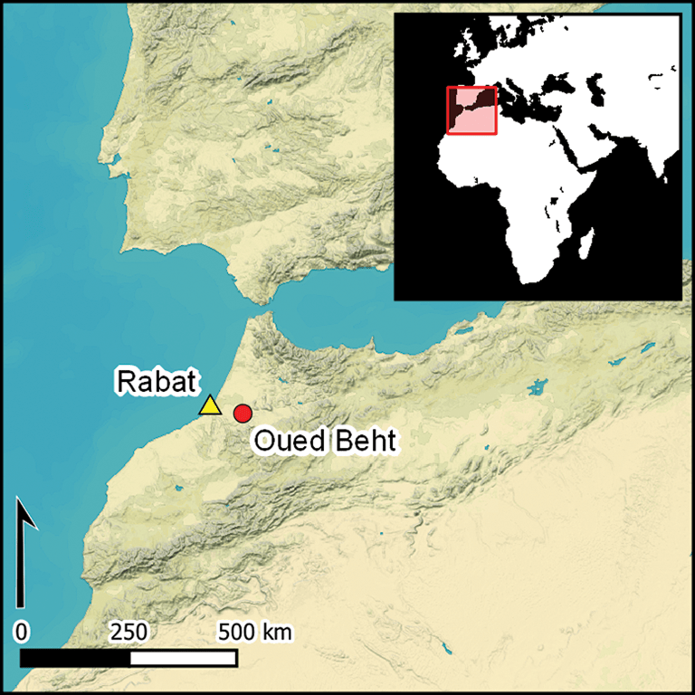 Previously unknown Neolithic farming community discovered in Morocco