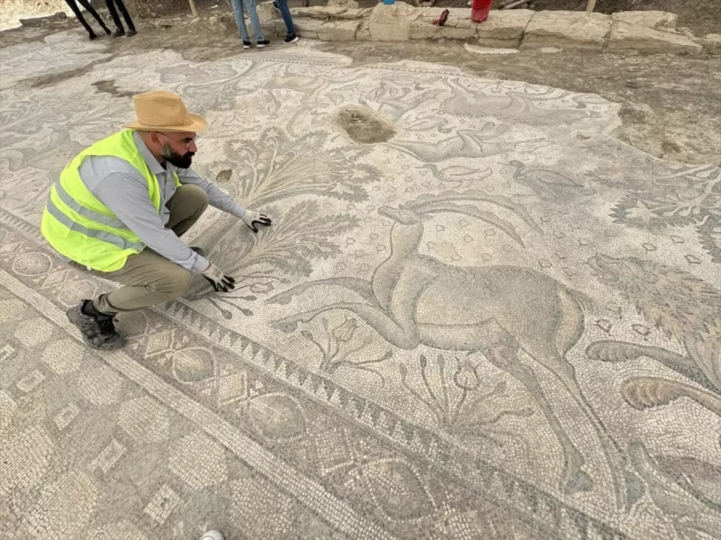 Roman mosaic_Elazığ