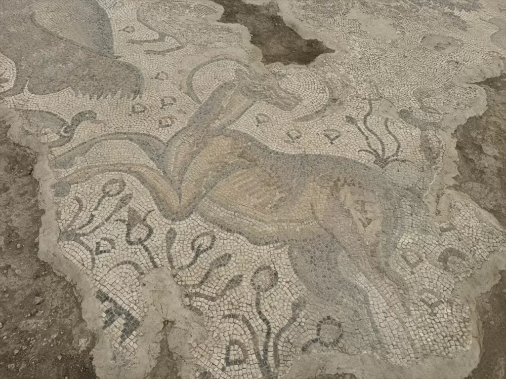 Roman mosaic_Elazığ