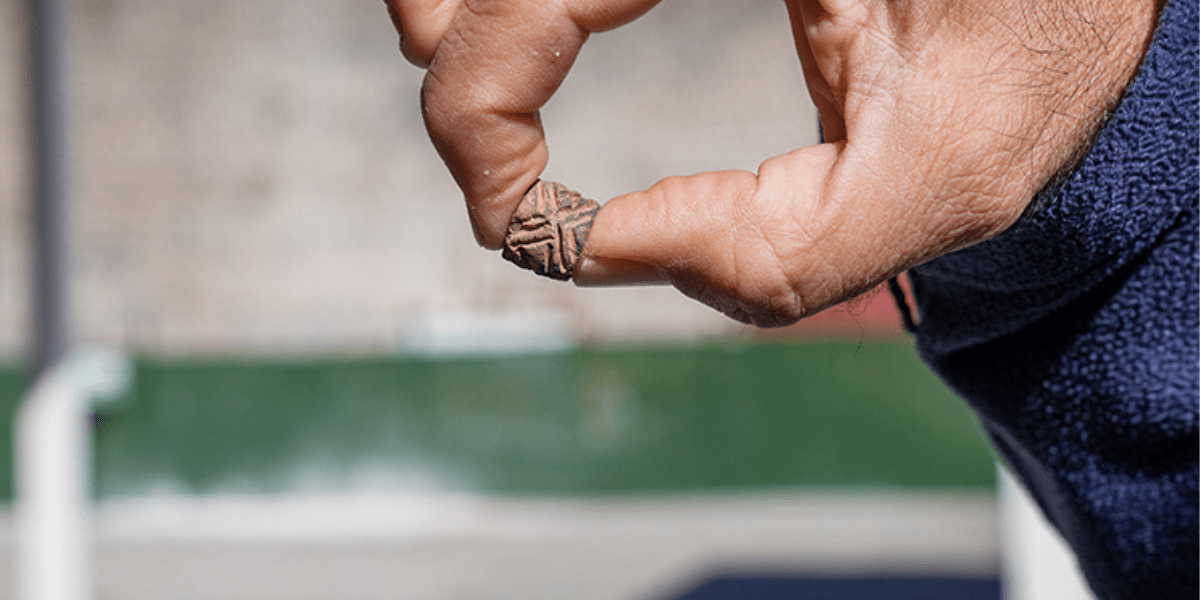 A cylindrical seal from the Late Uruk period has been found in Diyarbakır