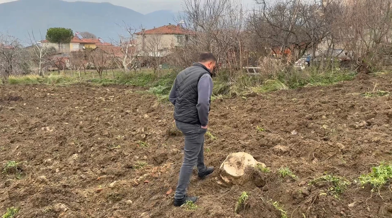 The farmer plowing his field discovered an ancient stone lid and a column capital