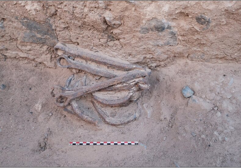 Evidence of Slavery in 2,300-Year-Old Egyptian Gold Mine: Iron Shackles Unearthed